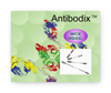 Sepax Antibodix NP1.7,4x10mm
